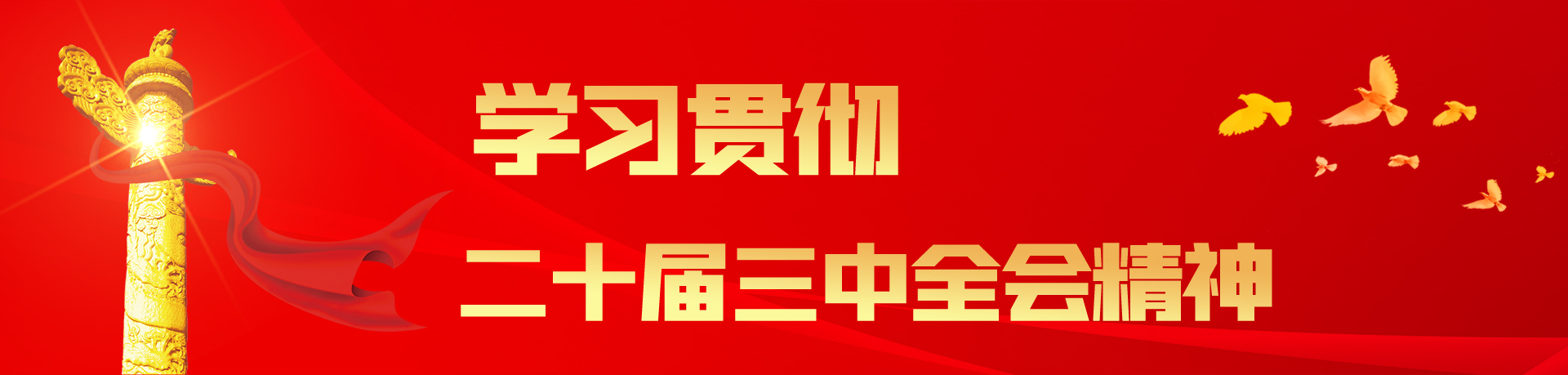 學(xué)习二十届三中(zhōng)全会精(jīng)神