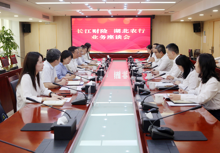 张龙赴农业银行湖(hú)北省分(fēn)行座谈交流